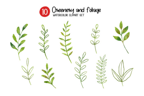 Download Greenery and Foliage Watercolor Set. - Set Collection